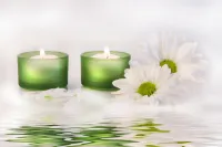 Avenirtel | voyant Lola