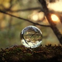 Avenirtel | voyant Akim
